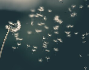 Finding your second wind