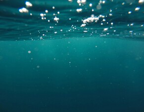 Baptism in New Plymouth Community Church