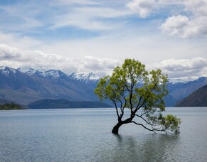 The Lord&#039;s commendation