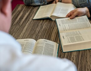 Showing Jesus Through the Gospels