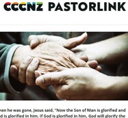 NEWSLETTER November 2023