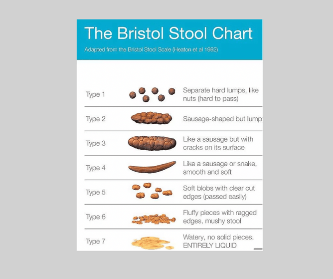 Understanding Your Bowel Movements | Vogeltown Pharmacy