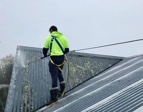 Revive Your Roof&#039;s Beauty: Expert Cleaning in Hamilton