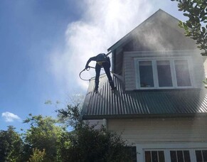 Expert Advice For Effective Roof Cleaning And Treatments In Hamilton