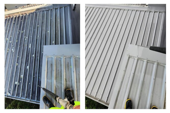 before and after pictures of lichen removal with roof treatment by Dry Gutts Hamilton