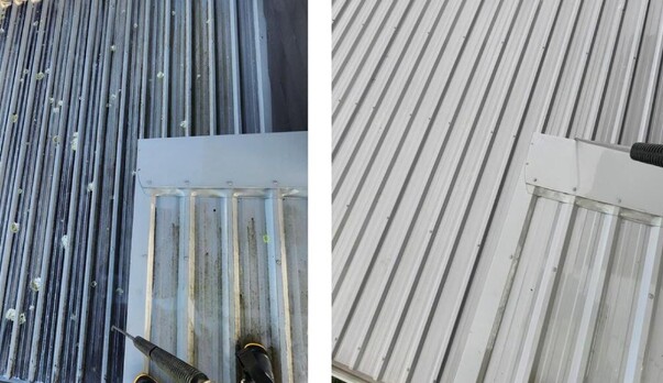 Hamilton Roof Cleaning or Treatment? Find the Best Solution