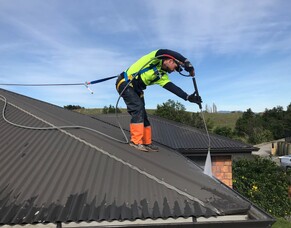 &lsquo;Memory Moss&rsquo; Of The Last Time You Cleaned Your Roof?