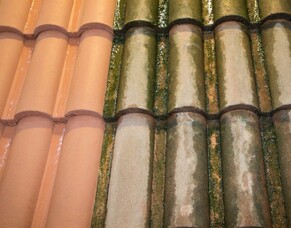 Roof Moss Treatments - Restoring Your Roof&#039;s Beauty and Ensuring Longevity