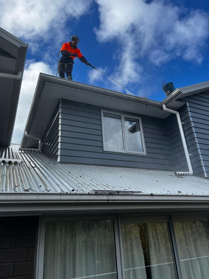 Roof Cleaning by Dry Gutts, exterior house wash experts in Hamilton
