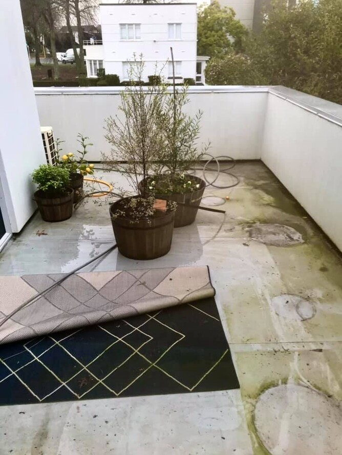 Mildew removal house washing in Hamilton