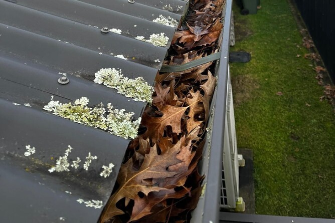 roof moss and blocked gutters before roof moss treatment in Hamilton