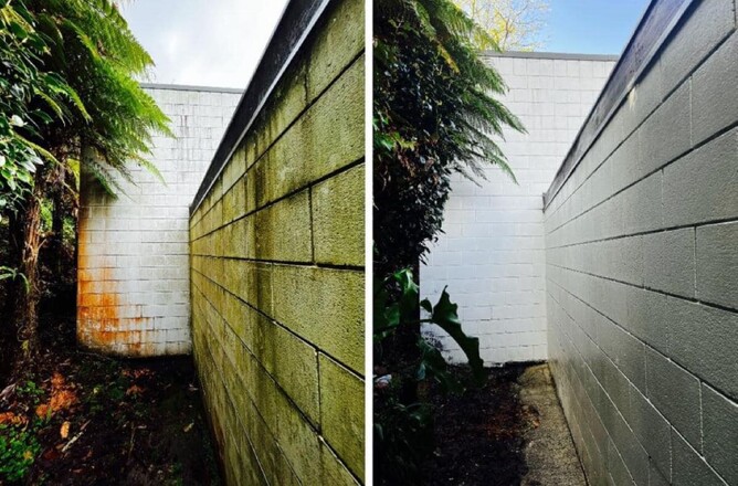 Dry Gutts exterior house cleaning of mould and rust stains before and after pictures