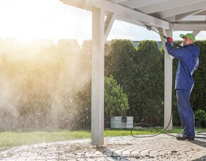 Hamilton House Washing: The Pros and Cons of DIY vs. Professional