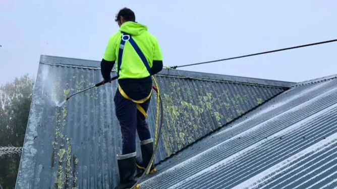 DryGutts Hamilton, worker cleaning moss off roof