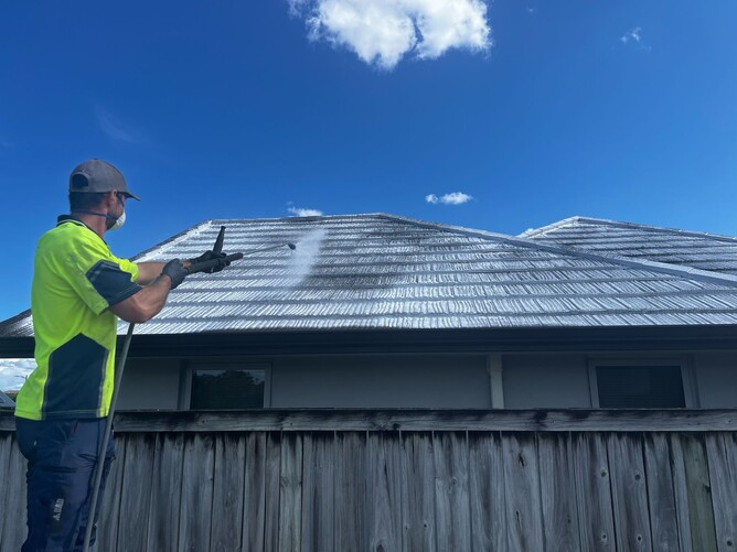 treating roof moss