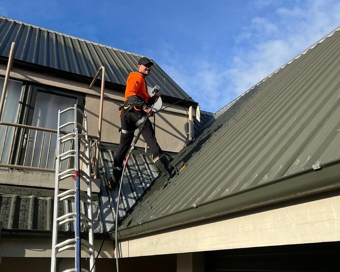 Dry gutts professional doing roof wash in Hamilton