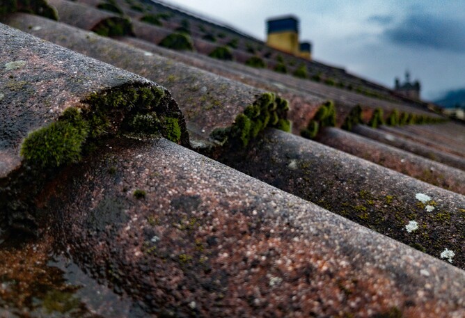 moss under roof tiles