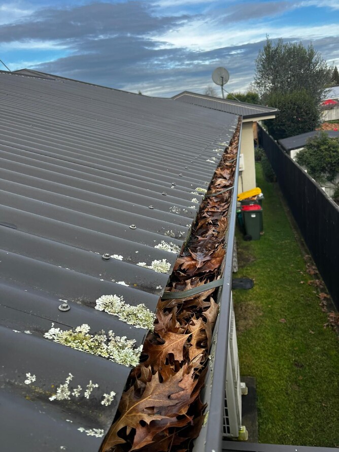 Blocked Gutter cleaning exterior house wash Hamilton
