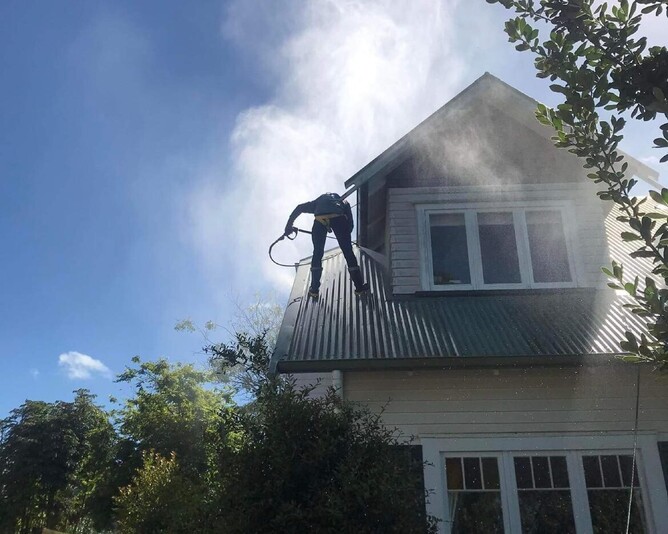 Dry gutts performing house washing in Hamilton
