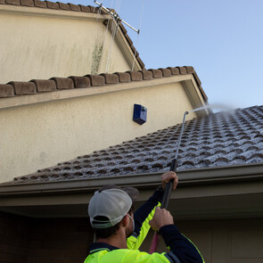 Roof moss treatments