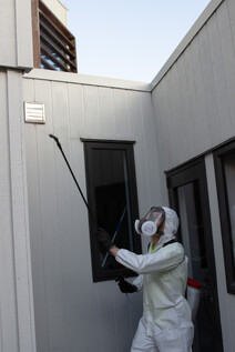 Insect Control Treatments