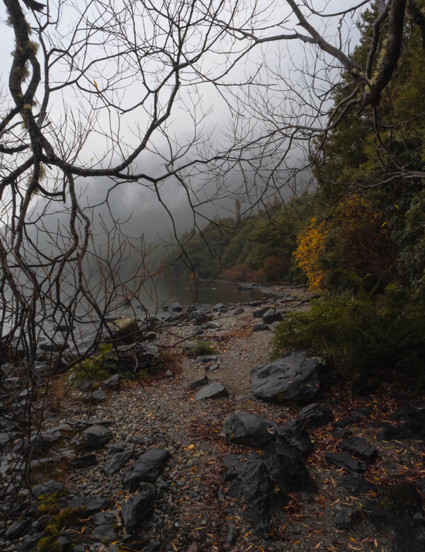 Moody New Zealand landscape photo of Lake Wakitipu shoreline in autumn 