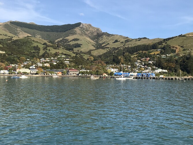 Akaroa - French Bay | Retired Director