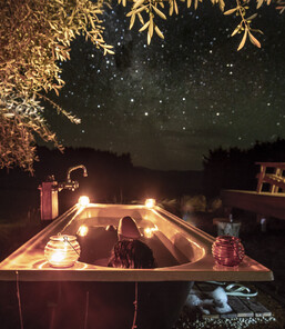 The Green Rabbit | Off-grid accommodation | Northland