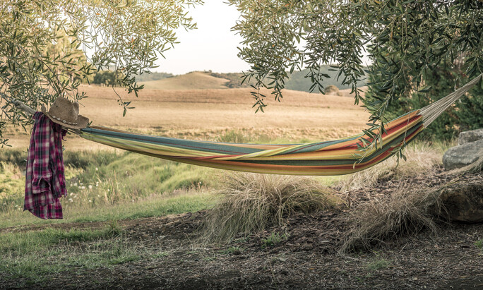 Relax in your hammock nestled in the olive trees | Riverside Escapes | river accommodation | Far North New Zealand | Riverside escapes