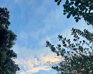 mental health coaching and ADHD coaching online