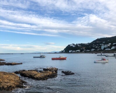 Walk and talk mental health coaching and ADHD coaching Wellington New Zealand