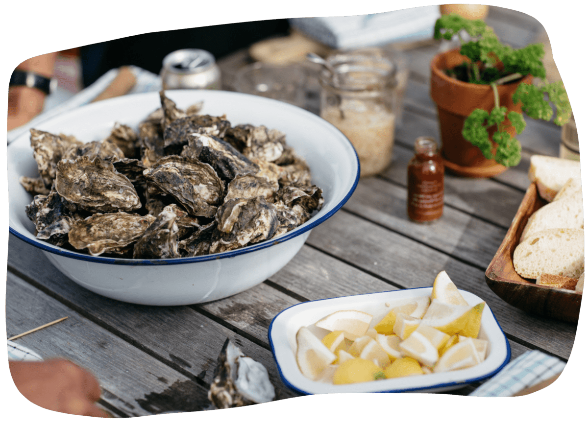 The Incredible Benefits of Oysters | NZ Oyster Farm Tours by Saltwater ...