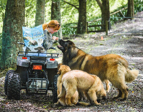 What's the hype about Antioxidants and how can they help my pet?