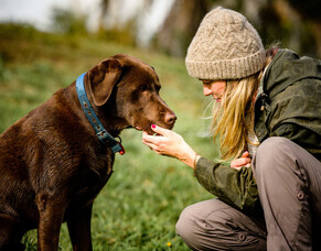 Why is my dog not eating?
