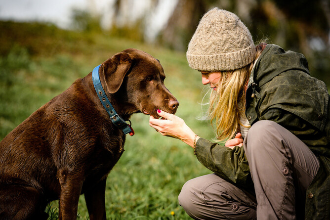 how do i stop my dog from swallowing whole food