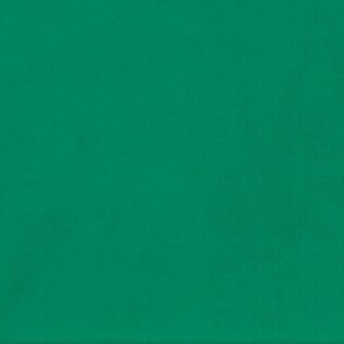 Emerald green velvet