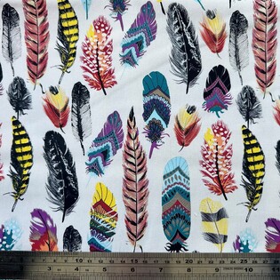 Colourful feathers on light background