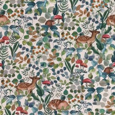 Forest - animals and plants