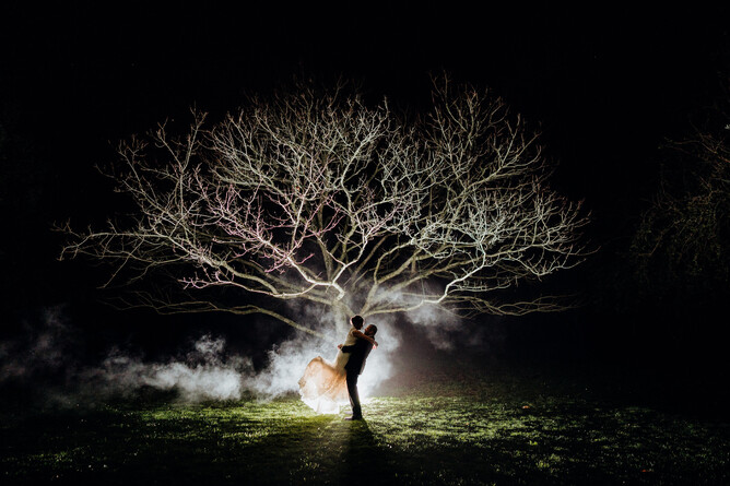 Markovina Vineyard Estate Wedding Venue Chestnut Tree in Winter