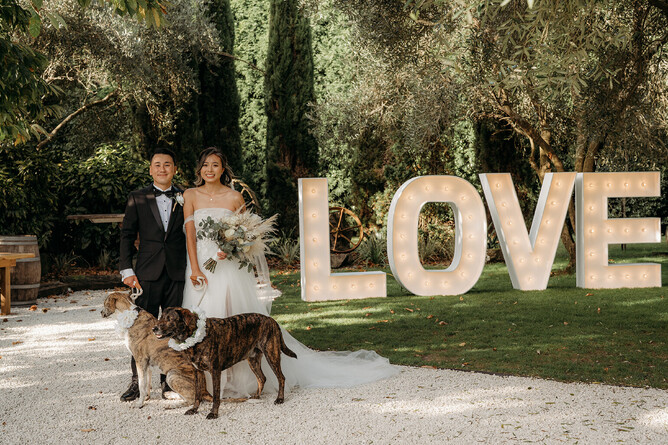wedding couple and dogs posing near LOVE sign