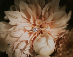 Courtney &amp; Steven