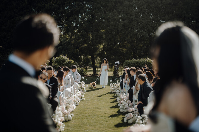 bride walking down the aisle with dog