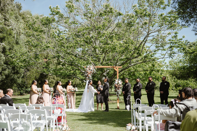 Markovina Vineyard Estate Wedding Venue Chestnut Tree Ceremony in Summer