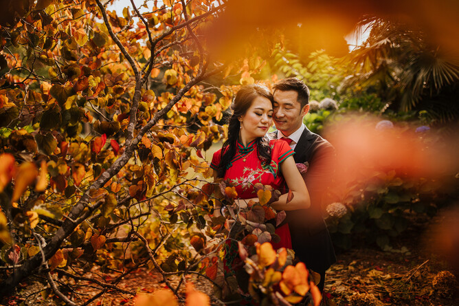 Markovina Estate Wedding Venue