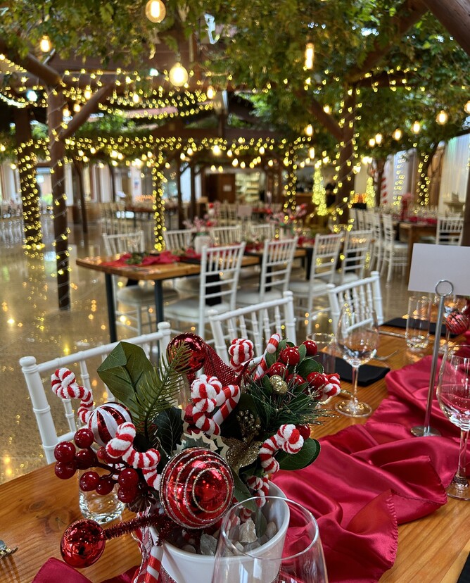 Christmas Under the Vines