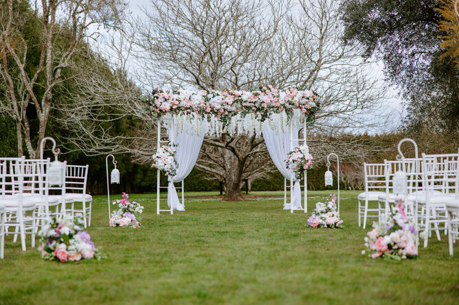 Markovina Vineyard Estate Wedding Venue Chestnut Tree in Winter