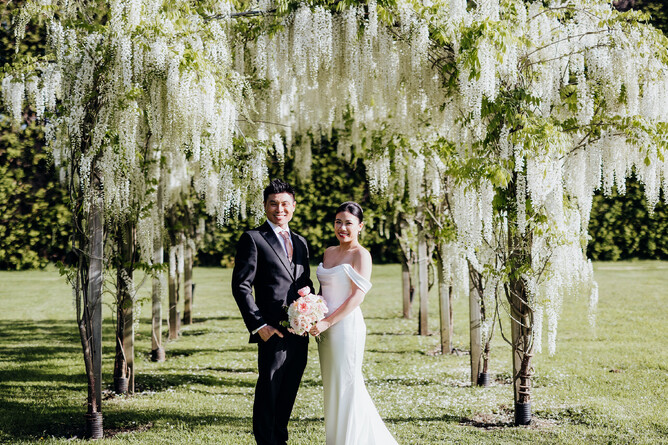 Markovina Estate Wedding Venue Wisteria Archway
