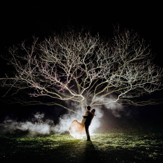 Chestnut Tree at Night