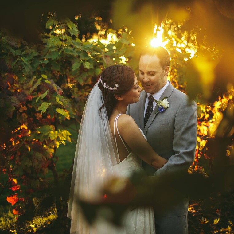 Sunset Photo in the Vines