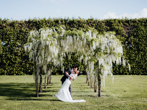 Wisteria Arch